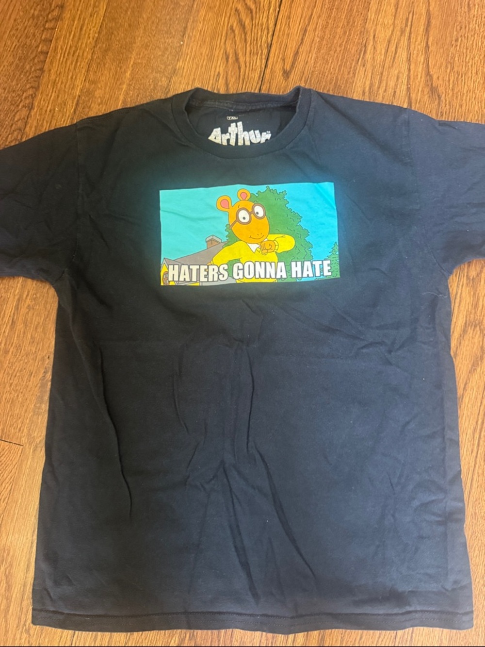 Arthur "Haters Gonna Hate" Graphic Black Tee